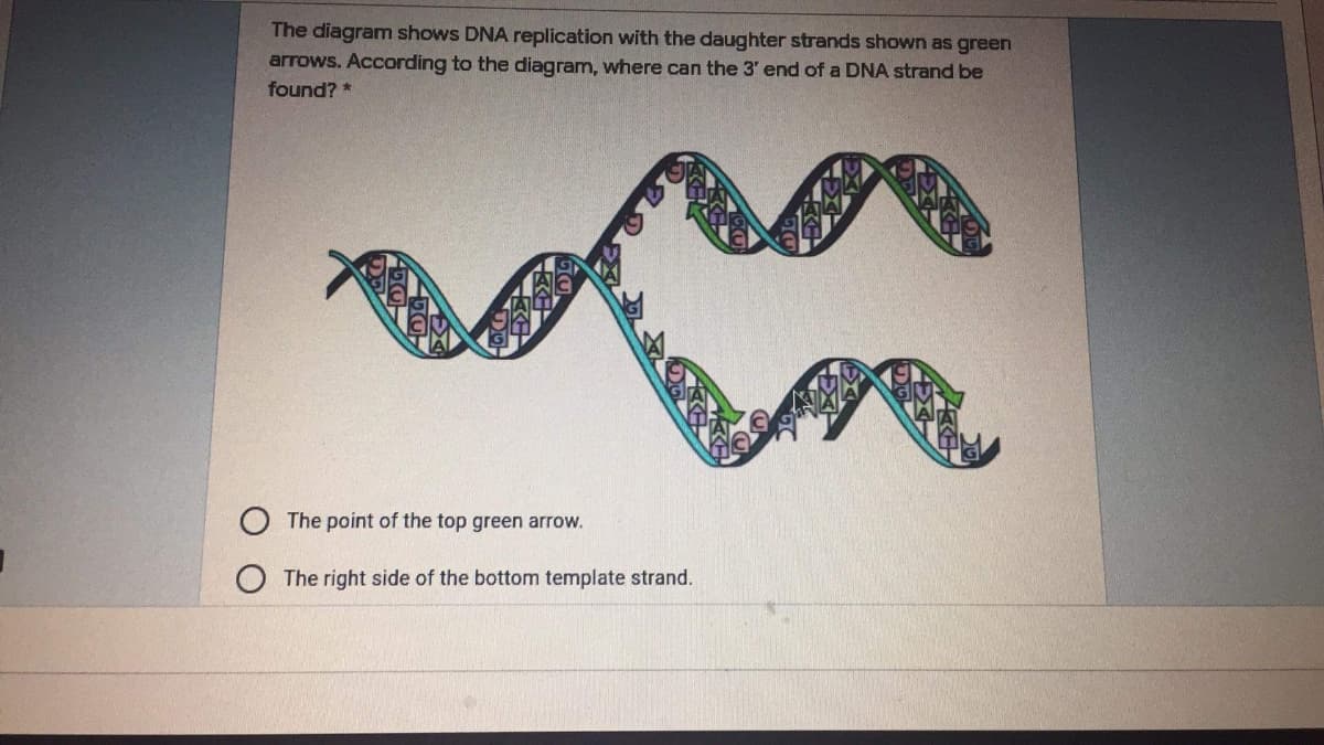 The diagram shows DNA replication with the daughter strands shown as green
arrows. According to the diagram, where can the 3' end of a DNA strand be
found? *
The point of the top green arrow.
The right side of the bottom template strand.
