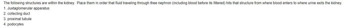 The following structures are within the kidney. Place them in order that fluid traveling through thee nephron (including blood before its filtered) hits that structure from where blood enters to where urine exits the kidney.
1. Juxtaglomerular apparatus
2. collecting duct
3. proximal tubule
4. podocytes
