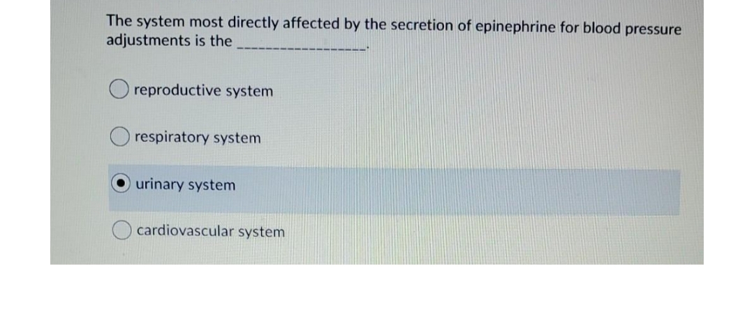 The system most directly affected by the secretion of epinephrine for blood pressure
adjustments is the
reproductive system
respiratory system
urinary system
cardiovascular system

