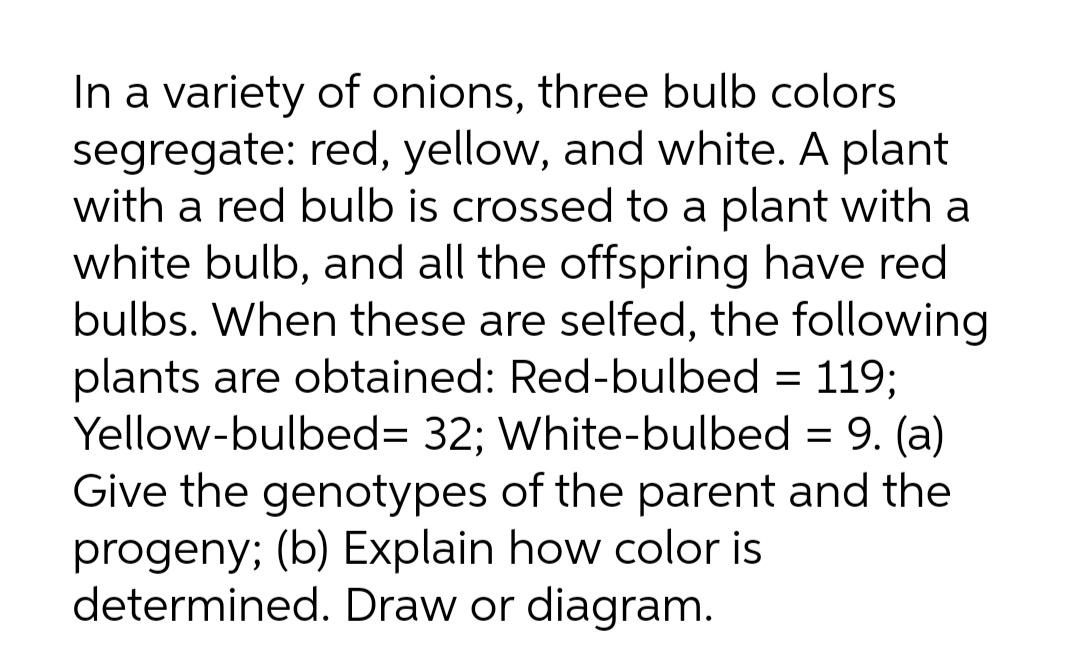 In a variety of onions, three bulb colors
segregate: red, yellow, and white. A plant
with a red bulb is crossed to a plant with a
white bulb, and all the offspring have red
bulbs. When these are selfed, the following
plants are obtained: Red-bulbed = 119;
Yellow-bulbed= 32; White-bulbed = 9. (a)
Give the genotypes of the parent and the
progeny; (b) Explain how color is
determined. Draw or diagram.
