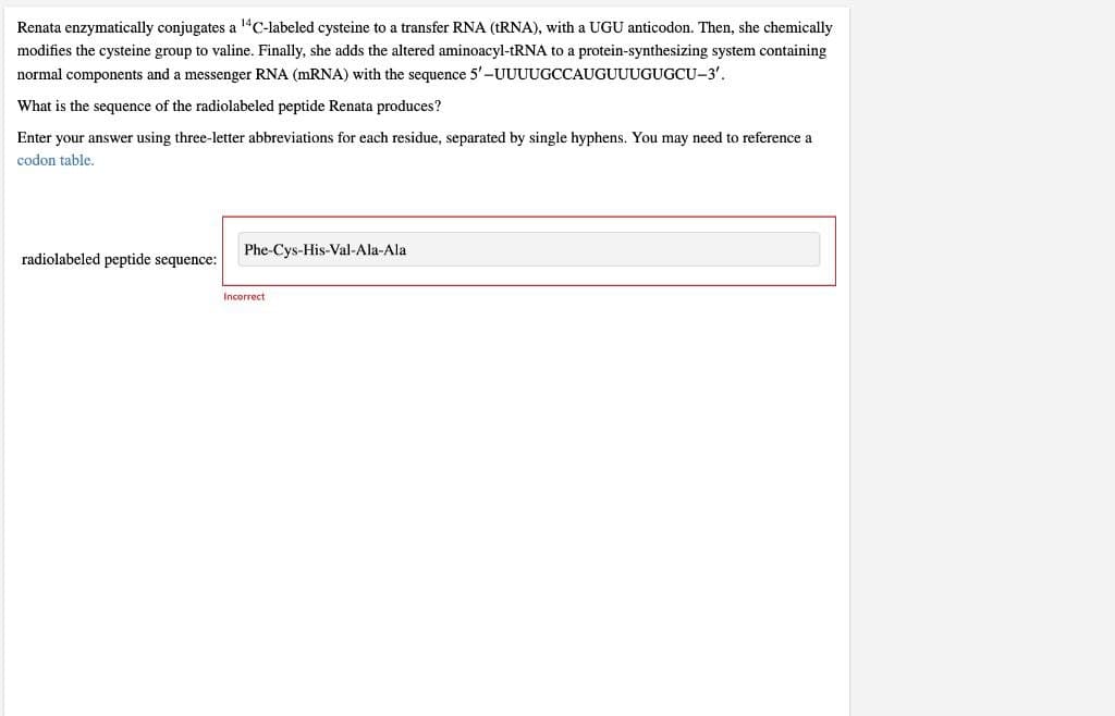 Renata enzymatically conjugates a 14C-labeled cysteine to a transfer RNA (ERNA), with a UGU anticodon. Then, she chemically
modifies the cysteine group to valine. Finally, she adds the altered aminoacyl-tRNA to a protein-synthesizing system containing
normal components and a messenger RNA (MRNA) with the sequence 5'-UUUUGCCAUGUUUGUGCU-3'.
What is the sequence of the radiolabeled peptide Renata produces?
Enter your answer using three-letter abbreviations for each residue, separated by single hyphens. You may need to reference a
codon table.
radiolabeled peptide sequence:
Phe-Cys-His-Val-Ala-Ala
Incorrect
