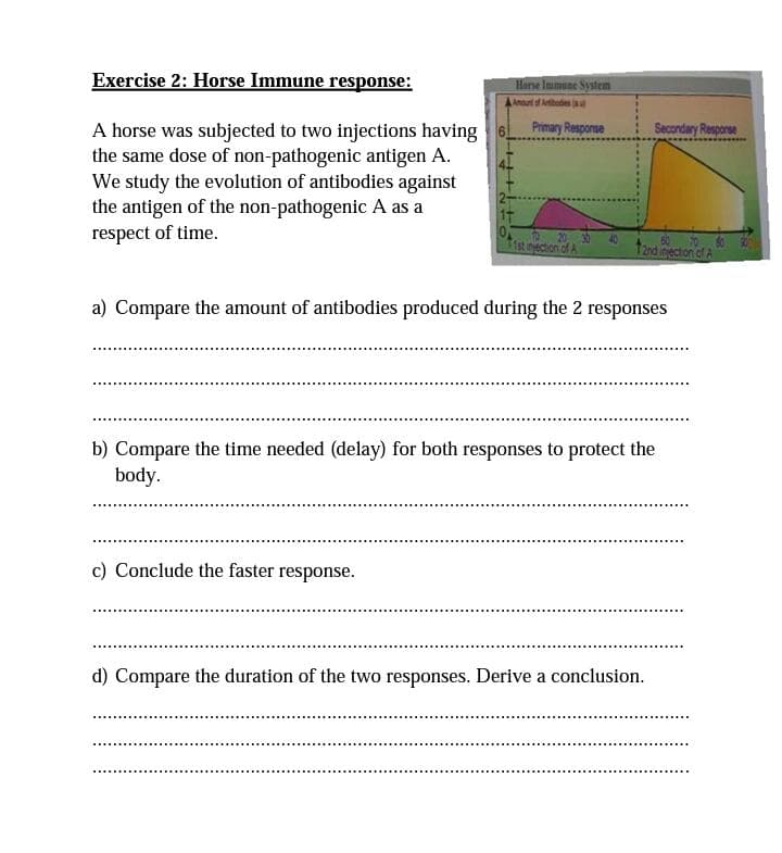 Exercise 2: Horse Immune response:
Horse Immune System
A horse was subjected to two injections having 6
the same dose of non-pathogenic antigen A.
We study the evolution of antibodies against
the antigen of the non-pathogenic A as a
respect of time.
Primary Response
Secondary Resporse
1t
TO
20
60
70
Tistinection of A
T2nd inection of A
a) Compare the amount of antibodies produced during the 2 responses
b) Compare the time needed (delay) for both responses to protect the
body.
c) Conclude the faster response.
d) Compare the duration of the two responses. Derive a conclusion.
