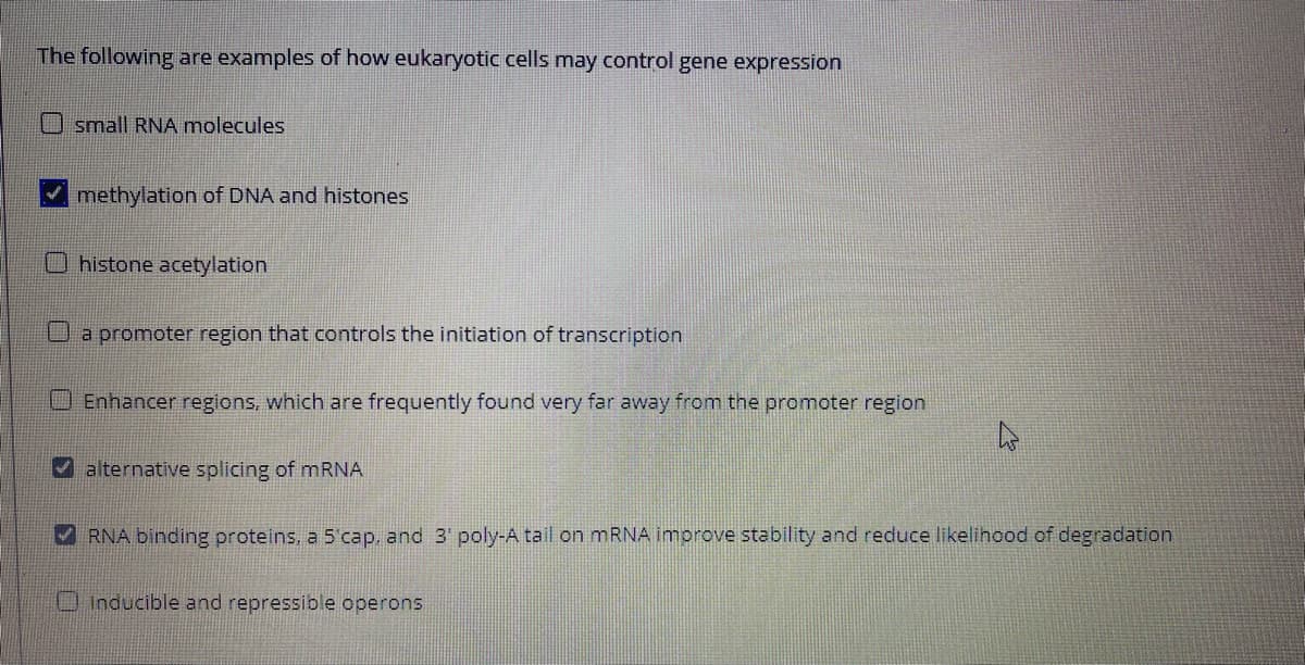 The following are examples of how eukaryotic cells may control gene expression
O small RNA molecules
methylation of DNA and histones
O histone acetylation
a promoter region that controls the initiation of transcription
O Enhancer regions, which are frequently found very far away from the promoter region
A alternative splicing of mRNA
RNA binding proteins, a 5'cap, and 3' poly-A tail on MRNA imorove stability and reduce likelihood of degradation
OInducible and repressible operons
