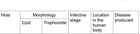 Location Disease
in the
Host
Morphology
Infective
stage
produced
Cyst
Trophozoite
human
body
