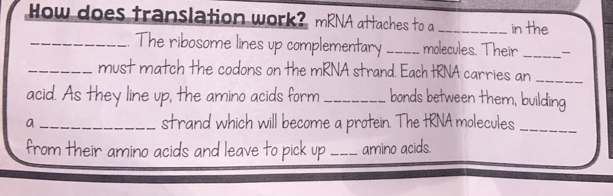How does translation work? mRNA attaches to a
in the
The ribosome lines up complementary molecules. Their
must match the codons on the mRNA strand. Each tRNA carries an
the amino acids form _______ bonds between them, building
strand which will become a protein. The tRNA molecules
acid. As they line
up,
a
from their amino acids and leave to pick up -
————
--- amino acids.