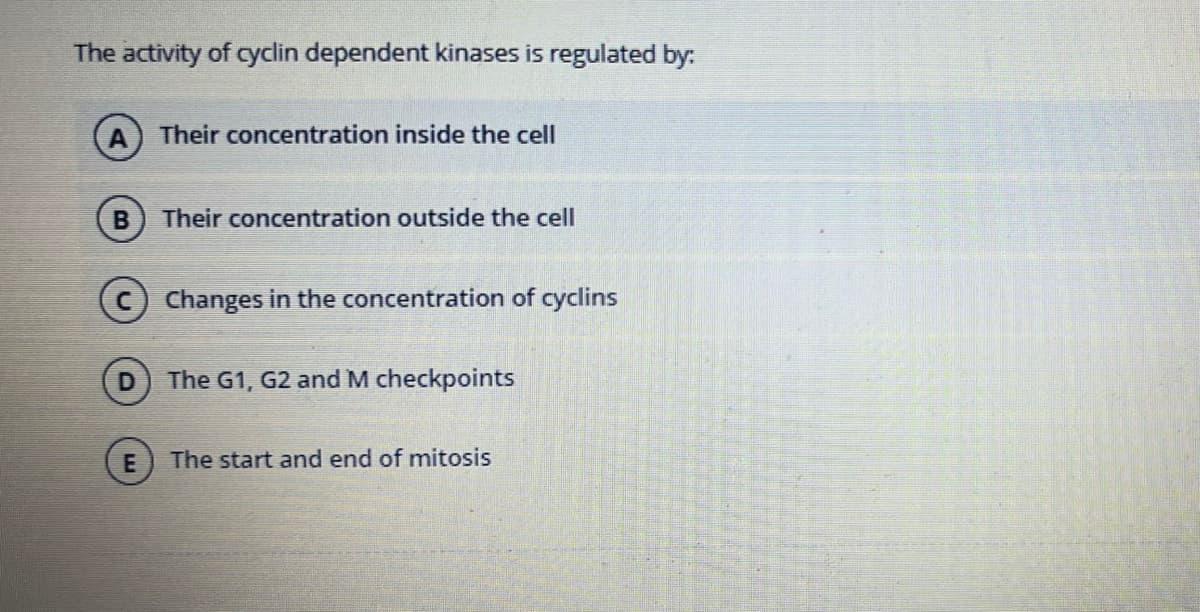 The activity of cyclin dependent kinases is regulated by:
B
Their concentration inside the cell
D
Their concentration outside the cell
C Changes in the concentration of cyclins
The G1, G2 and M checkpoints
The start and end of mitosis