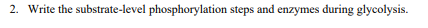 2. Write the substrate-level phosphorylation steps and enzymes during glycolysis.
