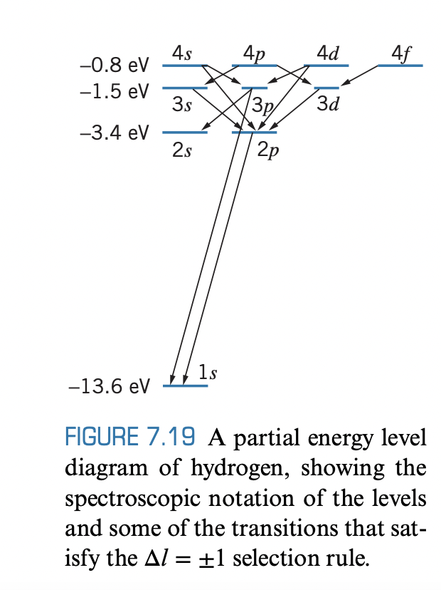4s
-0.8 ev
4p
4d
4f
-1.5 eV
3s
3p
3d
-3.4 ev
2s
2p
1s
-13.6 eV
FIGURE 7.19 A partial energy level
diagram of hydrogen, showing the
spectroscopic notation of the levels
and some of the transitions that sat-
isfy the Al = ±1 selection rule.
