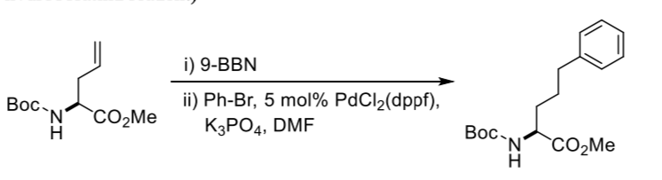 Boc
`N`
H
CO₂Me
i) 9-BBN
ii) Ph-Br, 5 mol% PdCl₂(dppf),
K3PO4, DMF
Boc-
`N`
IZ
CO₂Me