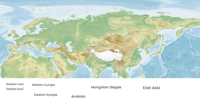 Western Asia
Western Europe
(Middle East)
Mongolian Steppe
East Asia
Eastern Europe
Anatolia

