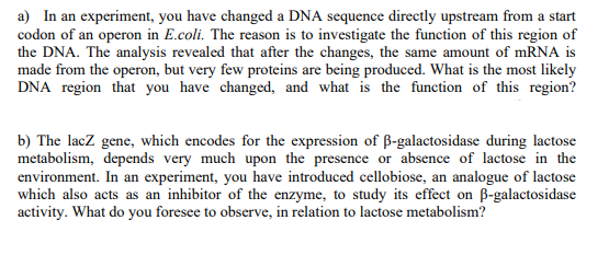 a) In an experiment, you have changed a DNA sequence directly upstream from a start
codon of an operon in E.coli. The reason is to investigate the function of this region of
the DNA. The analysis revealed that after the changes, the same amount of mRNA is
made from the operon, but very few proteins are being produced. What is the most likely
DNA region that you have changed, and what is the function of this region?
b) The lacZ gene, which encodes for the expression of B-galactosidase during lactose
metabolism, depends very much upon the presence or absence of lactose in the
environment. In an experiment, you have introduced cellobiose, an analogue of lactose
which also acts as an inhibitor of the enzyme, to study its effect on B-galactosidase
activity. What do you foresee to observe, in relation to lactose metabolism?
