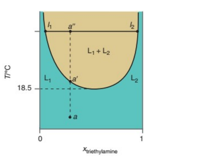 T/°C
18.5
0
4 a"
a'
a
L₁ + L₂
Xtriethylamine
12
یا