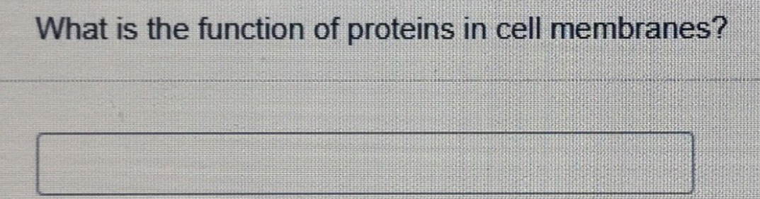 What is the function of proteins in cell membranes?

