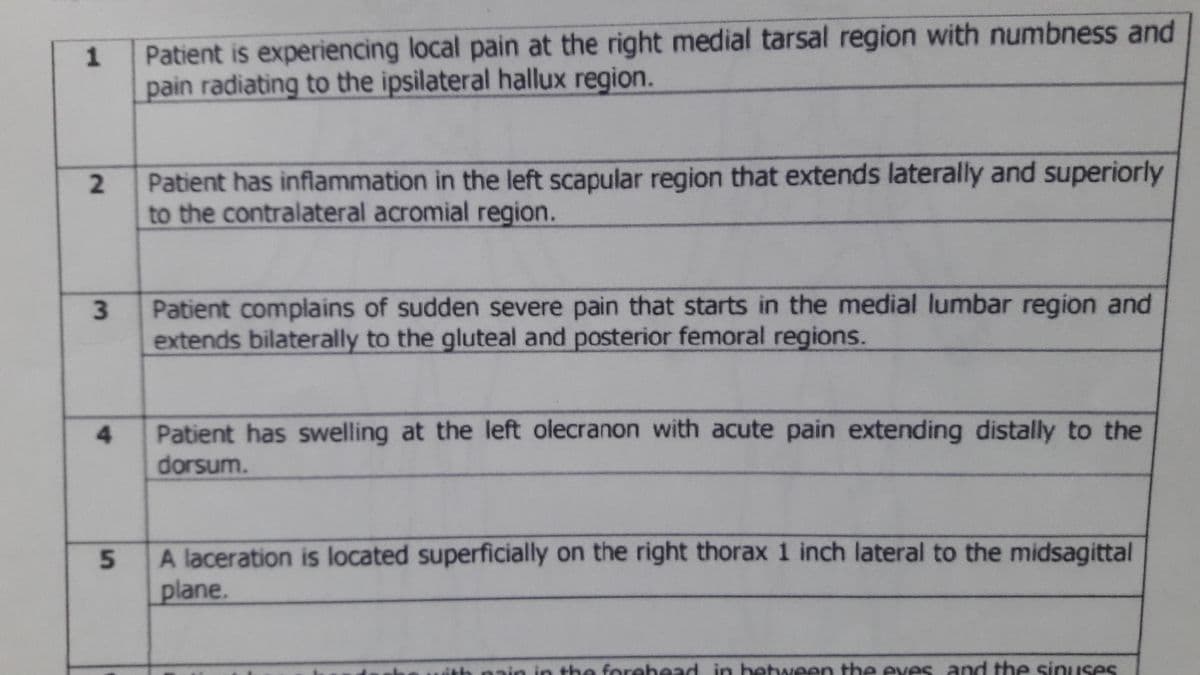 Patient is experiencing local pain at the right medial tarsal region with numbness and
pain radiating to the ipsilateral hallux region.
1
Patient has inflammation in the left scapular region that extends laterally and superiorly
to the contralateral acromial region.
Patient complains of sudden severe pain that starts in the medial lumbar region and
extends bilaterally to the gluteal and posterior femoral regions.
Patient has swelling at the left olecranon with acute pain extending distally to the
dorsum.
A laceration is located superficially on the right thorax 1 inch lateral to the midsagittal
plane.
ith
aain in
the forehead in hetween the eves and the sinuses
2.
3.
4.
5n
