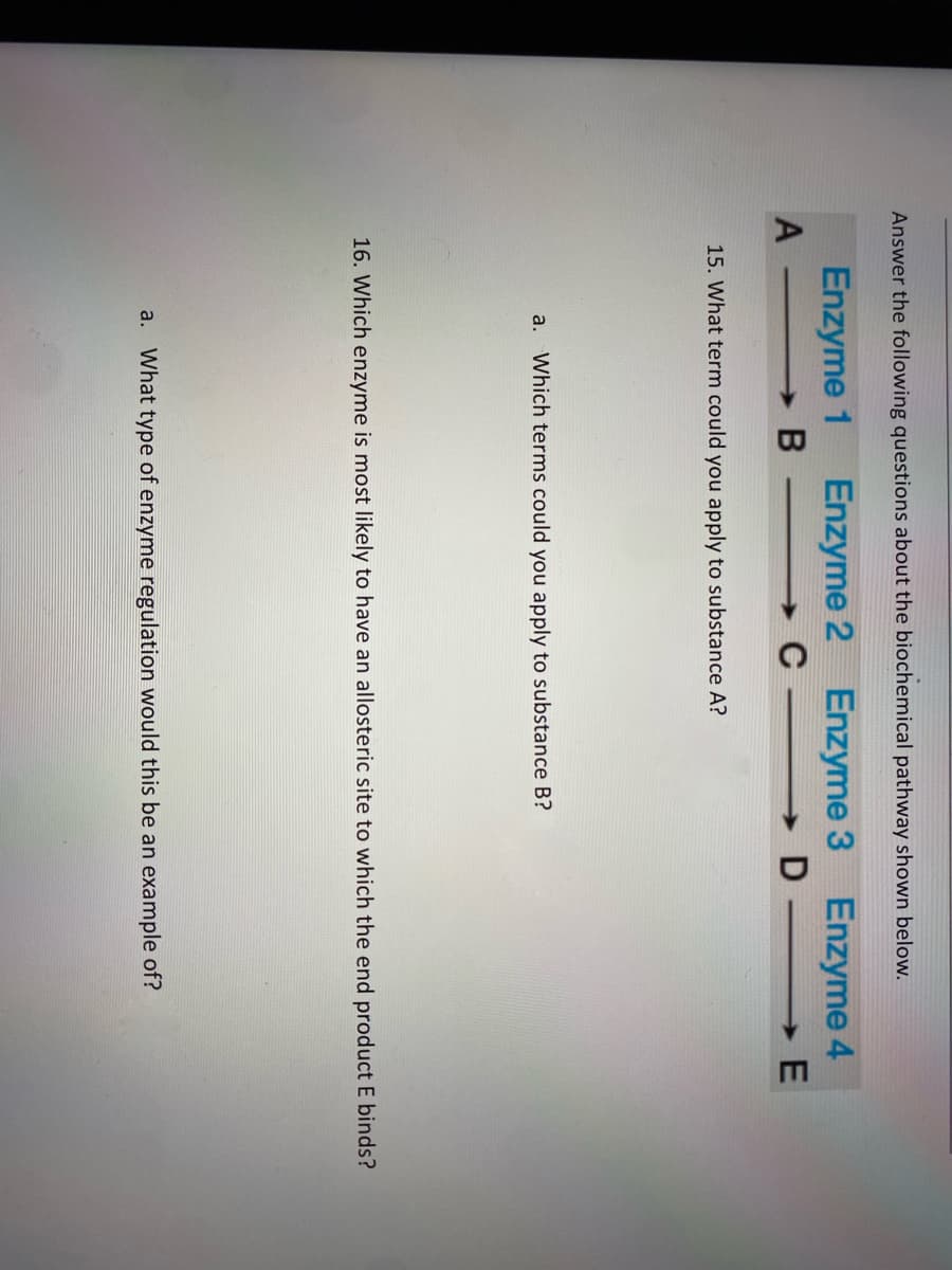 Answer the following questions about the biochemical pathway shown below.
Enzyme 2 Enzyme 3 Enzyme 4
→ D E
Enzyme 1
A-
15. What term could you apply to substance A?
a. Which terms could you apply to substance B?
16. Which enzyme is most likely to have an allosteric site to which the end product E binds?
a. What type of enzyme regulation would this be an example of?
