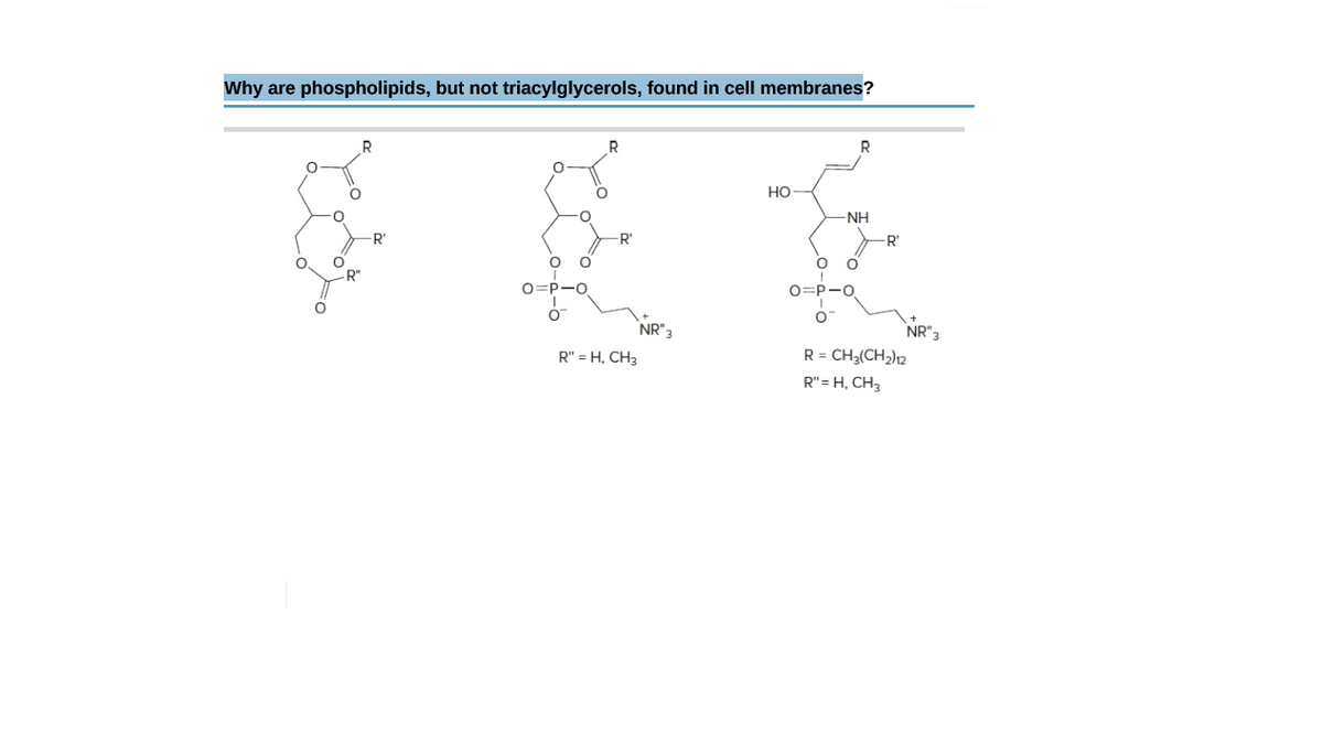 Why are phospholipids, but not triacylglycerols, found in cell membranes?
R.
Но
NH
R'
-R'
R'
R"
O=P-0
O=P-0
NR"3
R = CH3(CH2)12
NR"3
R" = H, CH3
R"= H, CH3
