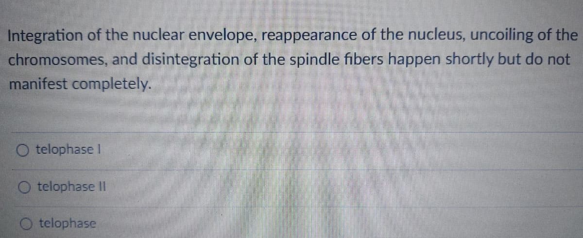 Integration of the nuclear envelope, reappearance of the nucleus, uncoiling of the
chromosomes, and disintegration of the spindle fibers happen shortly but do not
manifest completely.
O telophase I
O telophase II
telophase
