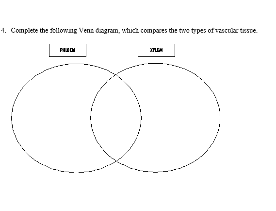 4. Complete the following Venn diagram, which compares the two types of vascular tissue.
PHLDEM
XLEM
