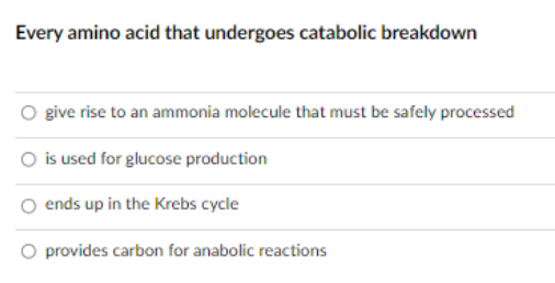 Every amino acid that undergoes catabolic breakdown
give rise to an ammonia molecule that must be safely processed
is used for glucose production
ends up in the Krebs cycle
O provides carbon for anabolic reactions