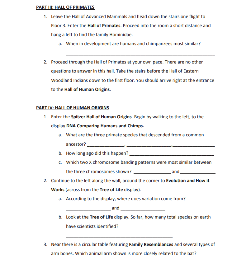 PART III: HALL OF PRIMATES
1. Leave the Hall of Advanced Mammals and head down the stairs one flight to
Floor 3. Enter the Hall of Primates. Proceed into the room a short distance and
hang a left to find the family Hominidae.
a. When in development are humans and chimpanzees most similar?
2. Proceed through the Hall of Primates at your own pace. There are no other
questions to answer in this hall. Take the stairs before the Hall of Eastern
Woodland Indians down to the first floor. You should arrive right at the entrance
to the Hall of Human Origins.
PART IV: HALL OF HUMAN ORIGINS
1.
Enter the Spitzer Hall of Human Origins. Begin by walking to the left, to the
display DNA Comparing Humans and Chimps.
a. What are the three primate species that descended from a common
ancestor?
b. How long ago did this happen?
c. Which two X chromosome banding patterns were most similar between
the three chromosomes shown?
and
2. Continue to the left along the wall, around the corner to Evolution and How it
Works (across from the Tree of Life display).
a. According to the display, where does variation come from?
and
b. Look at the Tree of Life display. So far, how many total species on earth
have scientists identified?
3. Near there is a circular table featuring Family Resemblances and several types of
arm bones. Which animal arm shown is more closely related to the bat?