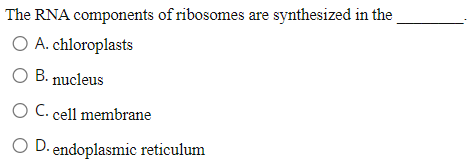 The RNA components of ribosomes are synthesized in the
O A. chloroplasts
O B. nucleus
O C. cell membrane
O D. endoplasmic reticulum
