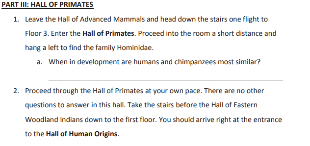 PART III: HALL OF PRIMATES
1. Leave the Hall of Advanced Mammals and head down the stairs one flight to
Floor 3. Enter the Hall of Primates. Proceed into the room a short distance and
hang a left to find the family Hominidae.
a. When in development are humans and chimpanzees most similar?
2. Proceed through the Hall of Primates at your own pace. There are no other
questions to answer in this hall. Take the stairs before the Hall of Eastern
Woodland Indians down to the first floor. You should arrive right at the entrance
to the Hall of Human Origins.