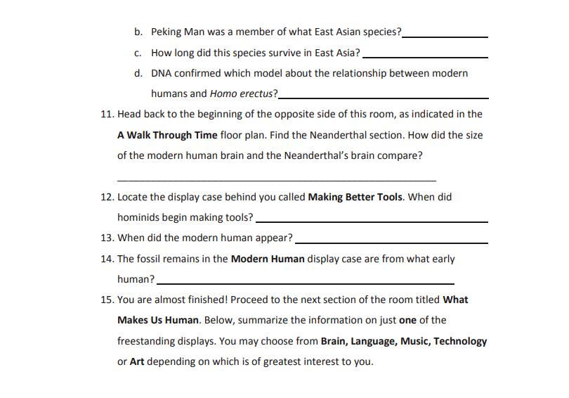 b. Peking Man was a member of what East Asian species?
c. How long did this species survive in East Asia?
d.
DNA confirmed which model about the relationship between modern
humans and Homo erectus?__
11. Head back to the beginning of the opposite side of this room, as indicated in the
A Walk Through Time floor plan. Find the Neanderthal section. How did the size
of the modern human brain and the Neanderthal's brain compare?
12. Locate the display case behind you called Making Better Tools. When did
hominids begin making tools?
13. When did the modern human appear?
14. The fossil remains in the Modern Human display case are from what early
human?
15. You are almost finished! Proceed to the next section of the room titled What
Makes Us Human. Below, summarize the information on just one of the
freestanding displays. You may choose from Brain, Language, Music, Technology
or Art depending on which is of greatest interest to you.