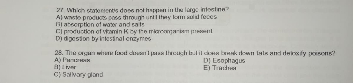 27. Which statement/s does not happen in the large intestine?
A) waste products pass through until they form solid feces
B) absorption of water and salts
C) production of vitamin K by the microorganism present
D) digestion by intestinal enzymes
28. The organ where food doesn't pass through but it does break down fats and detoxify poisons?
A) Pancreas
B) Liver
C) Salivary gland
D) Esophagus
E) Trachea
