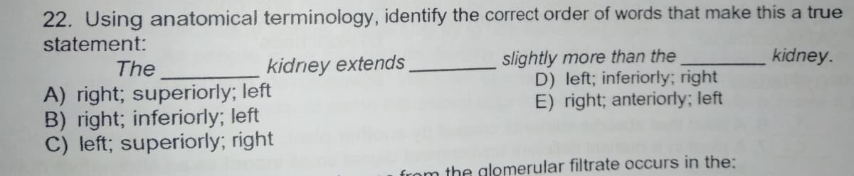 22. Using anatomical terminology, identify the correct order of words that make this a true
statement:
slightly more than the
D) left; inferiorly; right
E) right; anteriorly; left
The
kidney extends
kidney.
A) right; superiorly; left
B) right; inferiorly; left
C) left; superiorly; right
from the glomerular filtrate occurs in the:
