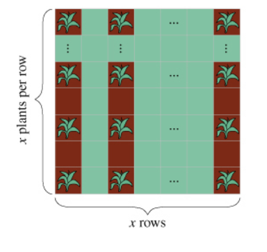 ...
x rows
x plants per row
