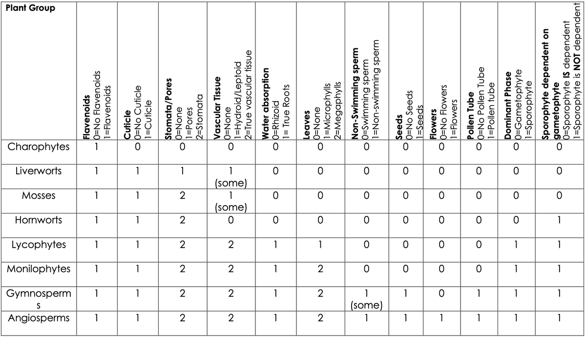 Plant Group
1
1
1
1
1
(some)
1
1
2
1
(some)
1
1
1
1
1
2
1
1
1
1
1
1
2
1
2
1
1
1
(some)
1
1
2
1
2
1
1
1
1
1
1
2
1
1
1
1
1
1
1
Flavenoids
0=No Flavenoids
1=Flavenoids
Cuticle
O0=No Cuticle
1=Cuticle
Stomata/Pores
0=None
1=Pores
2=Stomata
Vascular Tissue
0=None
1=Hydroid/Leptoid
2=True vascular tissue
Water absorption
O 0=Rhizoid
1= True Roots
Leaves
0=None
|1=Microphylls
2=Megaphylls
Non-Swimming sperm
O 0=Swimming sperm
1=Non-swimming sperm
Seeds
Ob=No Seeds
1=Seeds
Flowers
O 0=No Flowers
1=Flowers
Pollen Tube
O 0=No Pollen Tube
1=Pollen tube
Dominant Phase
O0=Gametophyte
1=Sporophyte
Sporophyte dependent on
o gametophyte
0=Sporophyte IS dependent
1=Sporophyte is NOT dependent
