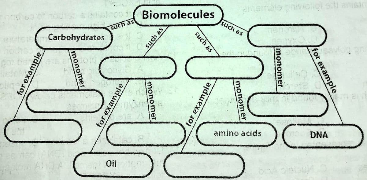 Biomolecules
such as
Such as
awtsiom.Carbohydrates
18
amino acids
DNA
Oil
ANGA
for example
monomer
such as
monomer
se pns
monomer
for exar
monomer
for exam
for example
