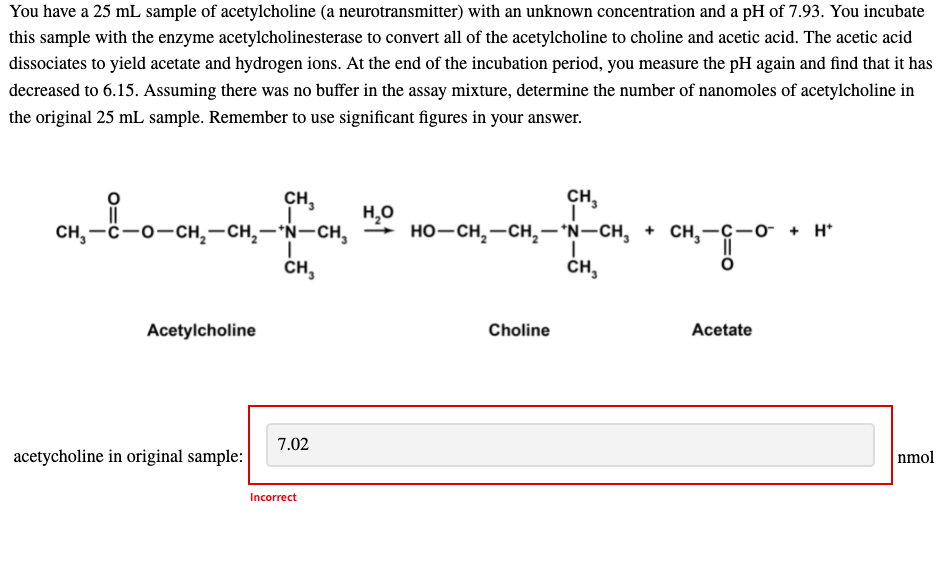 You have a 25 mL sample of acetylcholine (a neurotransmitter) with an unknown concentration and a pH of 7.93. You incubate
this sample with the enzyme acetylcholinesterase to convert all of the acetylcholine to choline and acetic acid. The acetic acid
dissociates to yield acetate and hydrogen ions. At the end of the incubation period, you measure the pH again and find that it has
decreased to 6.15. Assuming there was no buffer in the assay mixture, determine the number of nanomoles of acetylcholine in
the original 25 mL sample. Remember to use significant figures in your answer.
сн,
CH,
сH, —с —о—сн, — сн, — N—сн,
H,0
но—сн, ——сн,— "N—сн, + сH,—ҫ—о + H
CH,
ČH,
Acetylcholine
Choline
Acetate
7.02
acetycholine in original sample:
nmol
Incorrect

