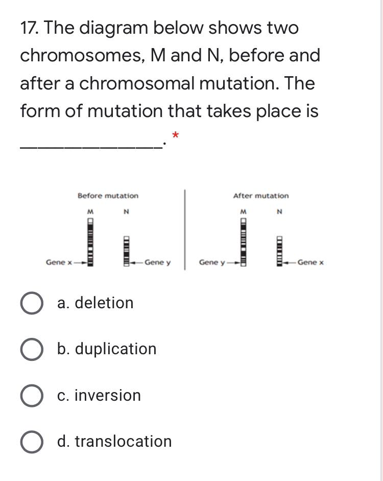 17. The diagram below shows two
chromosomes, M and N, before and
after a chromosomal mutation. The
form of mutation that takes place is
Before mutation
After mutation
M
N
M
N
Gene x
Gene y
Gene y-
- Gene x
O a. deletion
O b. duplication
O c. inversion
O d. translocation
