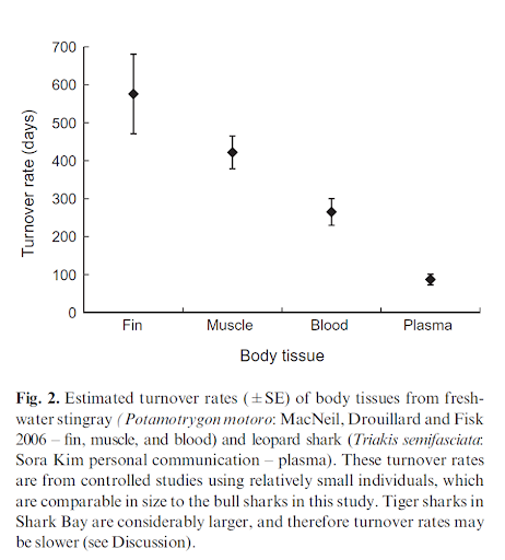 700
600
500
400
300
200
100
Fin
Muscle
Blood
Plasma
Body tissue
Fig. 2. Estimated turnover rates (+ SE) of body tissues from fresh-
water stingray (Potamotrygon motoro: MacNeil, Drouillard and Fisk
2006 – fin, muscle, and blood) and leopard shark (Triakis semifasciata.
Sora Kim personal communication – plasma). These turnover rates
are from controlled studies using relatively small individuals, which
are comparable in size to the bull sharks in this study. Tiger sharks in
Shark Bay are considerably larger, and therefore turnover rates may
be slower (see Discussion).
Turnover rate (days)
