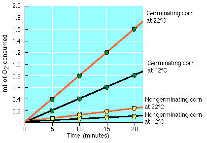 2.0
Germinating corn
at 22°C
1.8
1.6
1.4
1.2 F
Germinating corn
at 12°C
1.0
0.8
E 0.6
0.4
Nongerminating corn
at 22°C
0.2
Nongerminating corn
at 12°C
10
15
20
Time (minutes)
ml of 02 consumed
