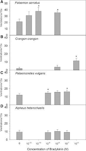 A
50
Palaemon serratus
40
30
20
10
B 40
Crangon crangon
30
20
10
Palaemonetes vuigaris
30
20
10
D 48
Alpheus heterochaelis
30
20
10
1012
10 t0
10
10
10
10
Concentration of Bradykinin (M)
Ventilations/15s
Ventilations/15s
CLISUOneInuDA
SGLISUOIIEueA
