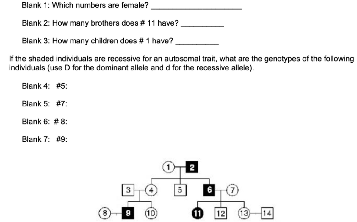Blank 1: Which numbers are female?
Blank 2: How many brothers does # 11 have?
Blank 3: How many children does # 1 have?
If the shaded individuals are recessive for an autosomal trait, what are the genotypes of the following
individuals (use D for the dominant allele and d for the recessive allele).
Blank 4: #5:
Blank 5: #7:
Blank 6: #8:
Blank 7: #9:
3
5
6
9 (10)
11 12
(8)
(13)
14