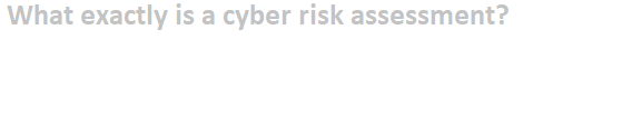What exactly is a cyber risk assessment?

