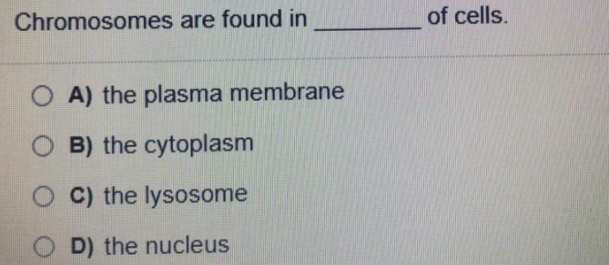 Chromosomes are found in
of cells.
O A) the plasma membrane
O B) the cytoplasm
C) the lysosome
D) the nucleus
