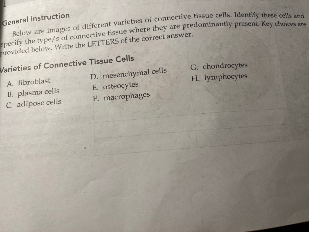 General Instruction
Below are images of different varieties of connective tissue cells. Identify these cells and
specify the type/s of connective tissue where they are predominantly present. Key choices are
provided below. Write the LETTERS of the correct answer.
Varieties of Connective Tissue Cells
A. fibroblast
B. plasma cells
C. adipose cells
D. mesenchymal cells
E. osteocytes
F. macrophages
G. chondrocytes
H. lymphocytes
