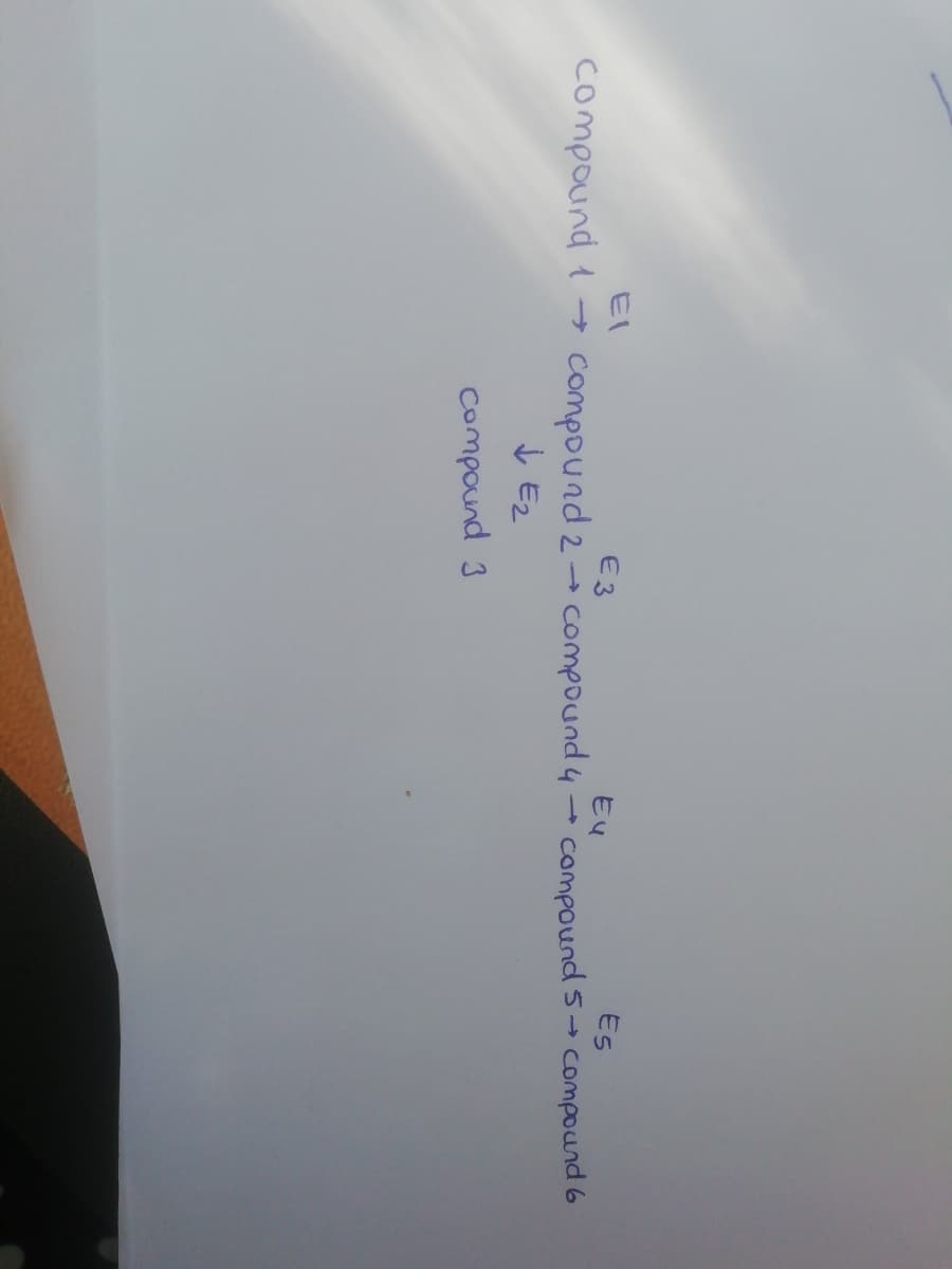 El
E3
Eu
ES
Compound 2 - compound y - compound 5→ compound 6
į Ez
compound l →
Compound 3
