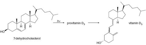 provitamin D,
vitamin D,
hv
но
7-dehydrocholesterol
Но"
