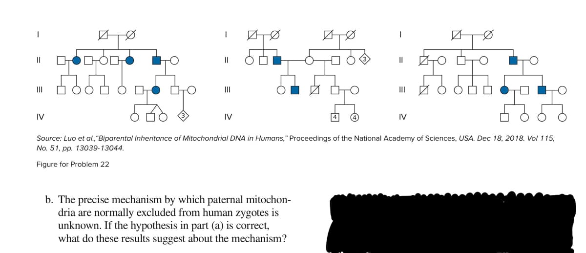 ||
II
II
II
IV
IV
IV
Source: Luo et al.,"Biparental Inheritance of Mitochondrial DNA in Humans," Proceedings of the National Academy of Sciences, USA. Dec 18, 2018. Vol 115,
No. 51, pp. 13039-13044.
Figure for Problem 22
b. The precise mechanism by which paternal mitochon-
dria are normally excluded from human zygotes is
unknown. If the hypothesis in part (a) is correct,
what do these results suggest about the mechanism?
