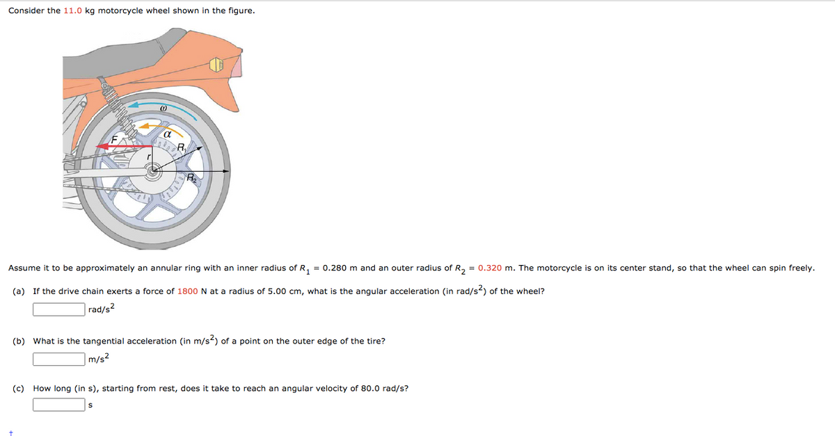 Consider the 11.0 kg motorcycle wheel shown in the figure.
Assume it to be approximately an annular ring with an inner radius of R, = 0.280 m and an outer radius of R, = 0.320 m. The motorcycle is on its center stand, so that the wheel can spin freely.
(a) If the drive chain exerts a force of 1800 N at a radius of 5.00
what is the angular acceleration (in rad/s2) of the wheel?
rad/s2
(b) What is the tangential acceleration (in m/s2) of a point on the outer edge of the tire?
|m/s2
(c) How long (in s), starting from rest, does it take to reach an angular velocity of 80.0 rad/s?
