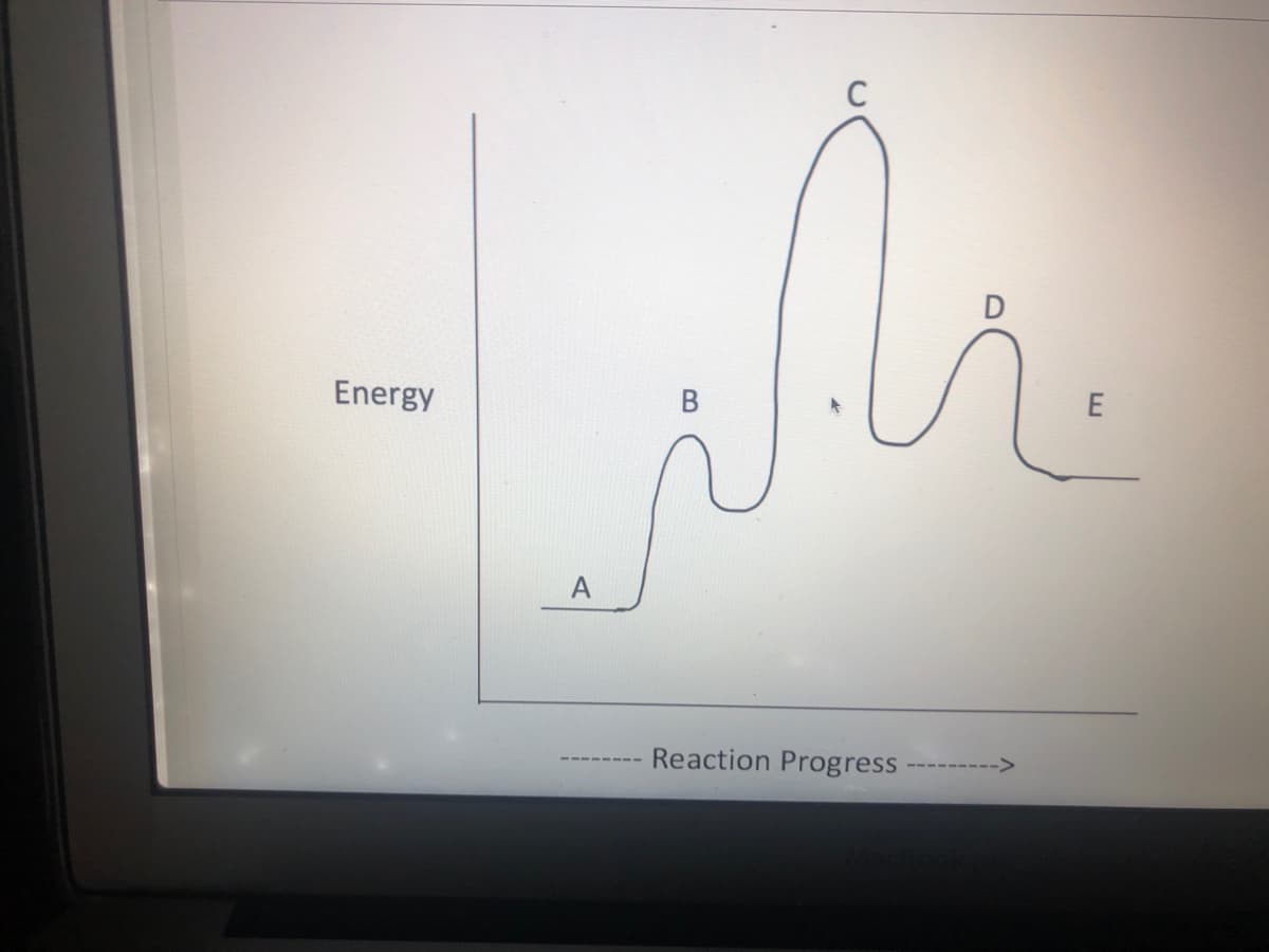 C
Energy
E
A
Reaction Progress
