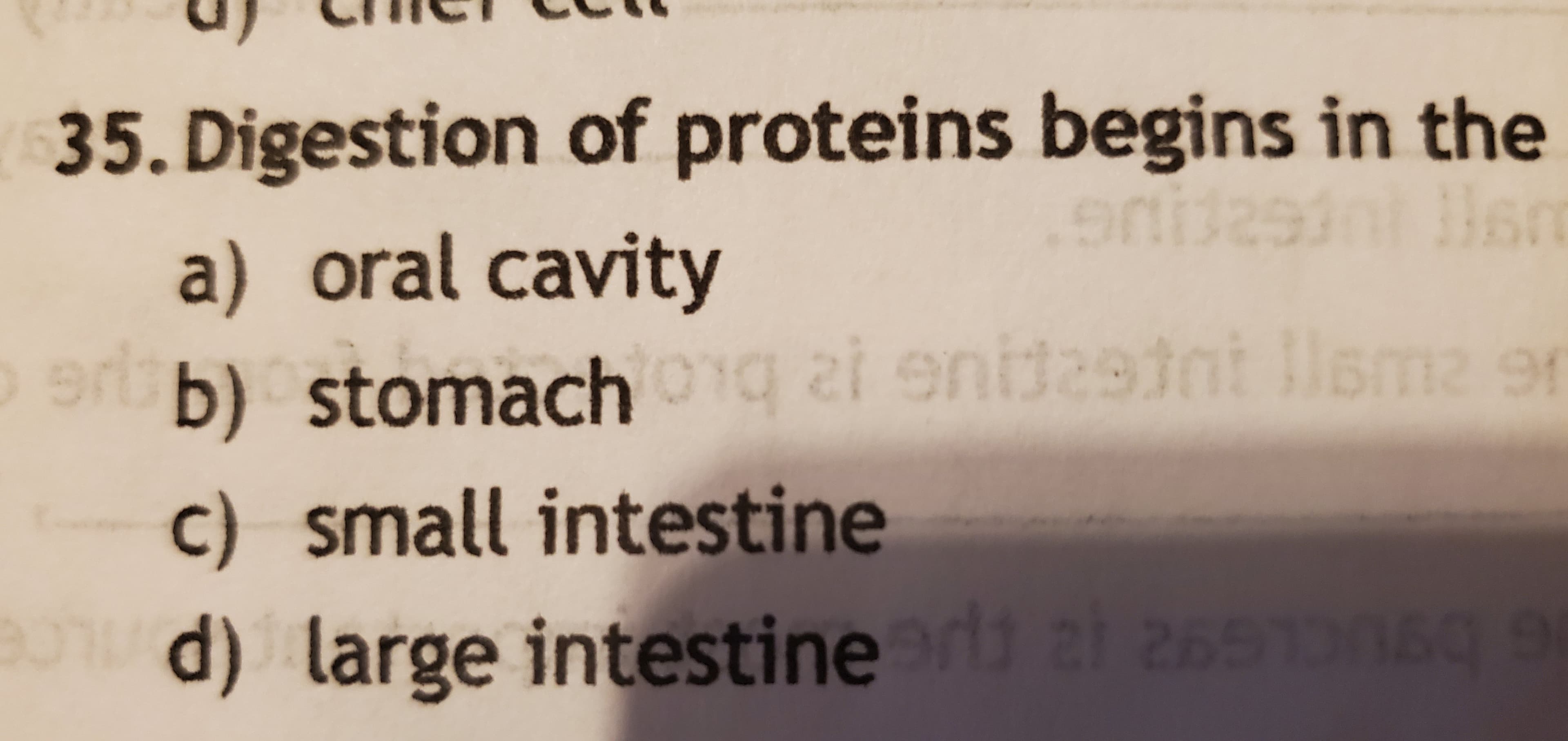 35. Digestion of proteins begins in the
a) oral cavity
UG
O ab) stomachng zi enidasint llema 91
c) small intestine
d) large intestine r ai 265T060 9
