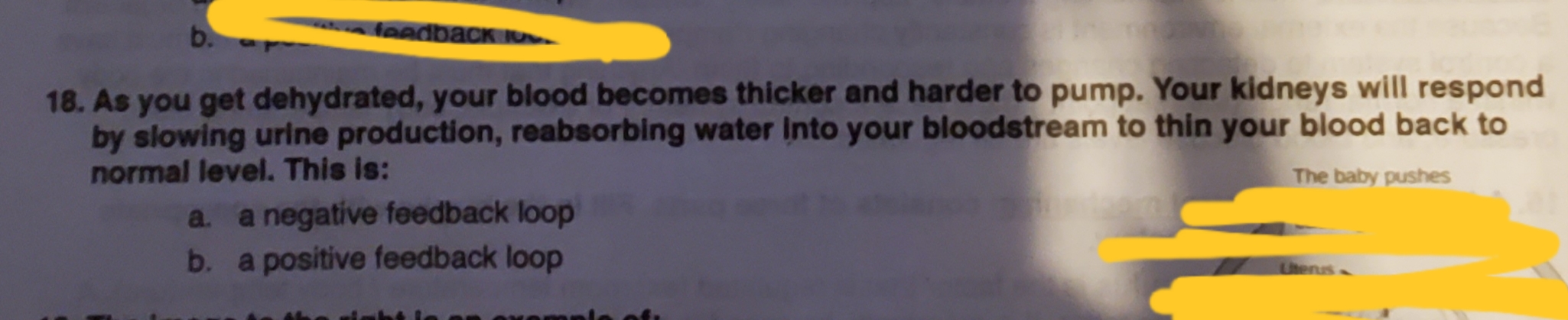 feedback
b.
18. As you get dehydrated, your blood becomes thicker and harder to pump. Your kidneys will respond
by slowing urine production, reabsorbing water Into your bloodstream to thin your blood back to
normal level. This is:
The baby pushes
a. a negative feedback loop
b. a positive feedback loop
Uhenus
