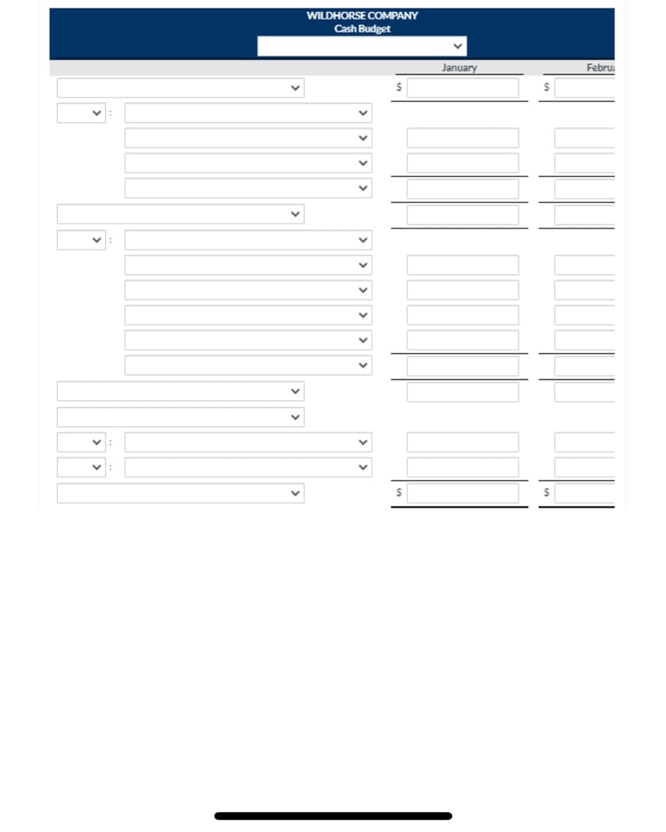 WILDHORSE COMPANY
Cash Budget
$
S
January
$
Febru
