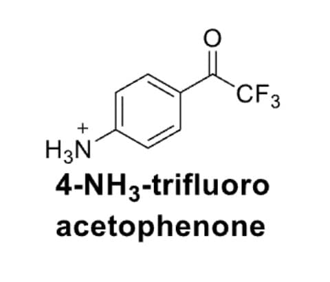 +
H3N
CF3
4-NH3-trifluoro
acetophenone